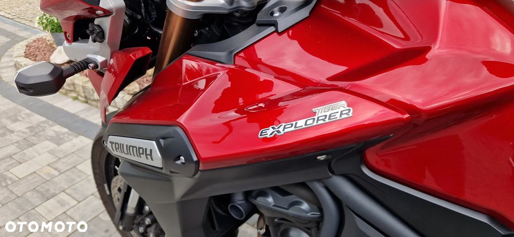 Triumph Tiger - 24
