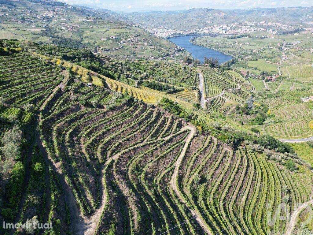 Terreno Agrícola em Samodães de 32187,00 m2 - Grande imagem: 3/9