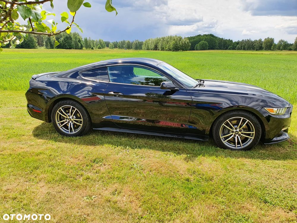 Ford Mustang 5.0 V8 GT - 12