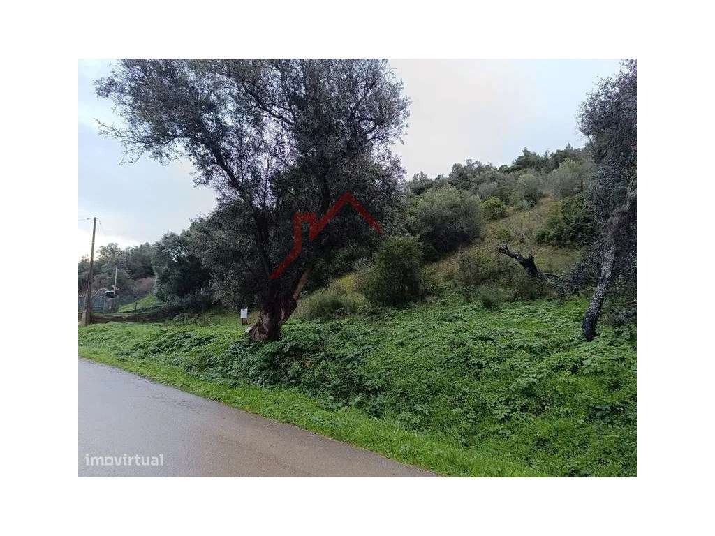 Terreno Natural Mexilhoeira Grande. - Grande imagem: 3/4