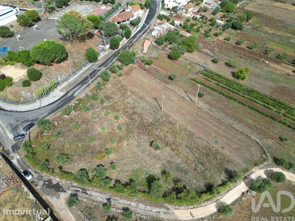 Terreno em Mira de Aire - Grande imagem: 3/25