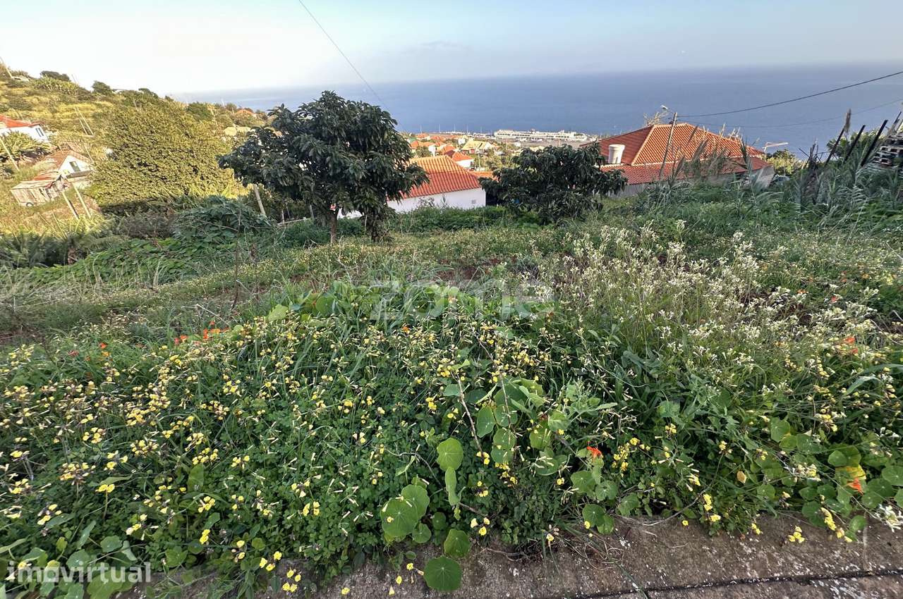 Terreno para construção em Santa Cruz - Grande imagem: 2/18