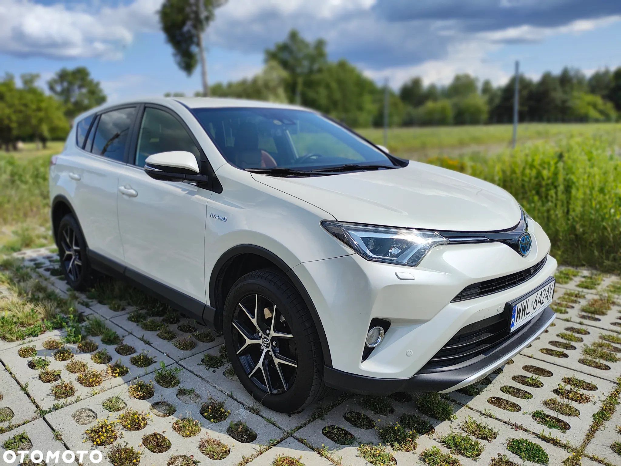 Toyota RAV4 Hybrid Prestige 4x2 - 6