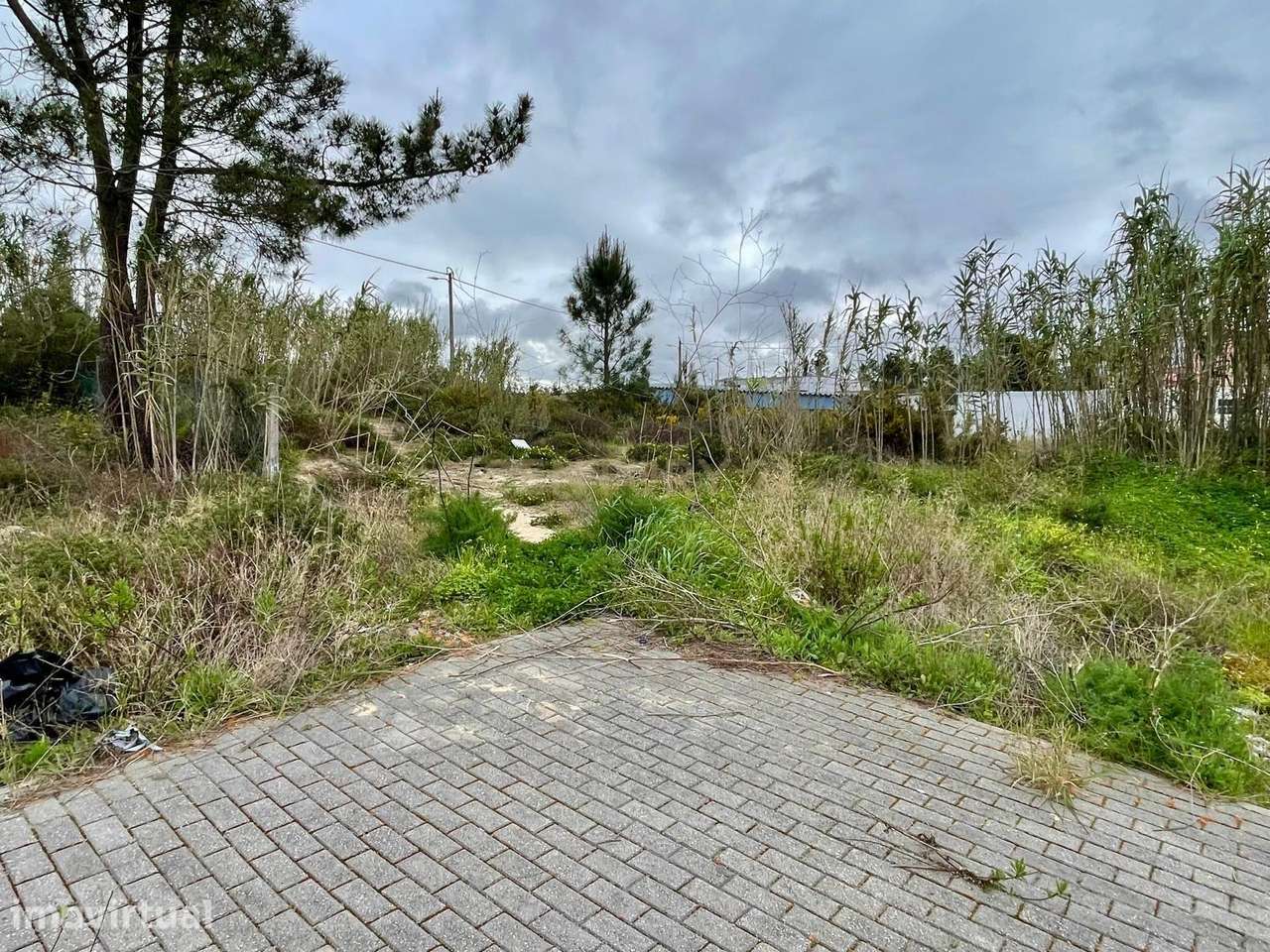 Terreno para Construção na Quinta da Marquesa - Quinta do Anjo - Palme - Grande imagem: 5/5