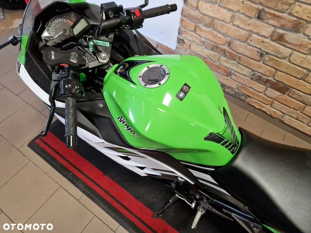 Kawasaki Ninja 300 ABS - 19