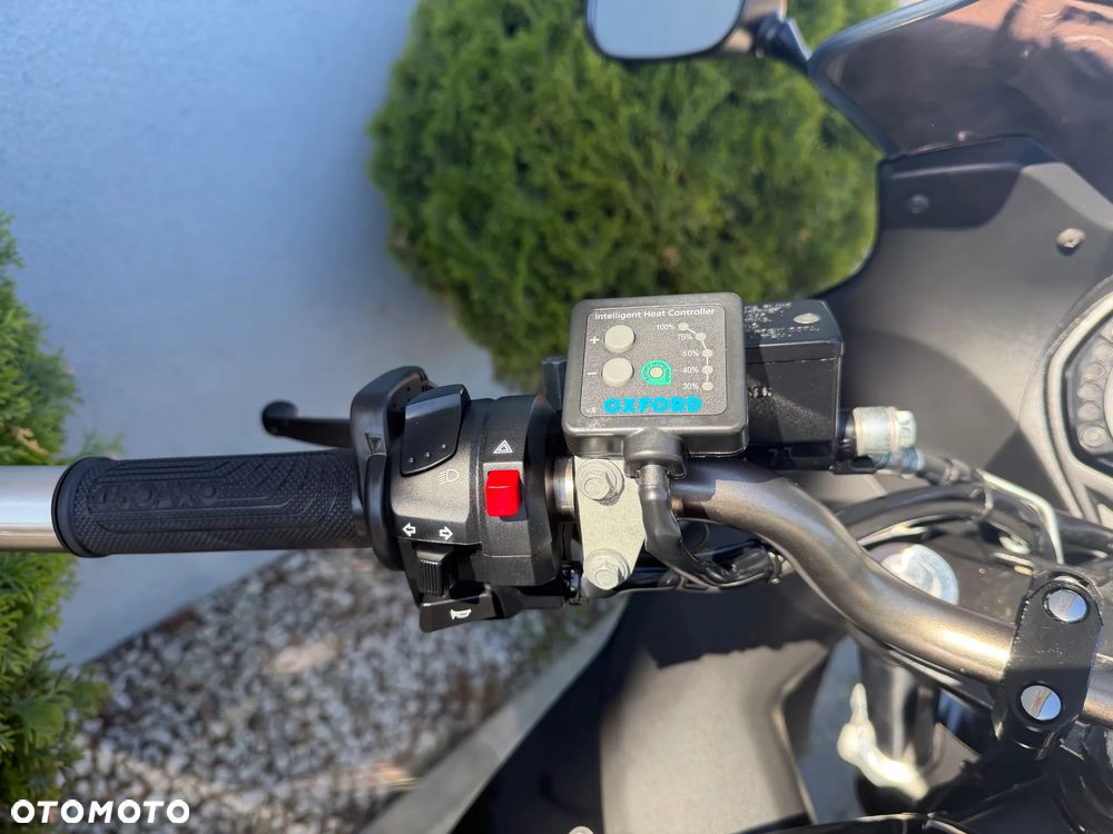 Suzuki GSX - 19