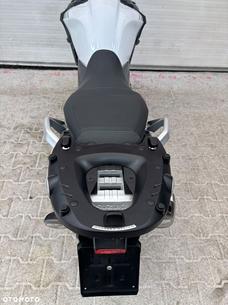 Suzuki DL - 31