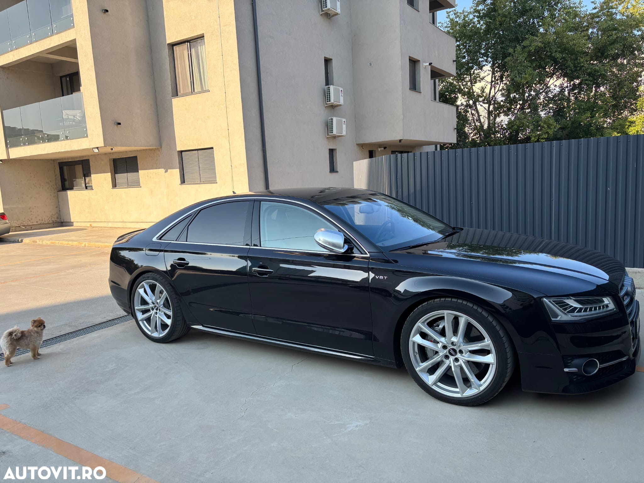 Audi S8 Plus - 5