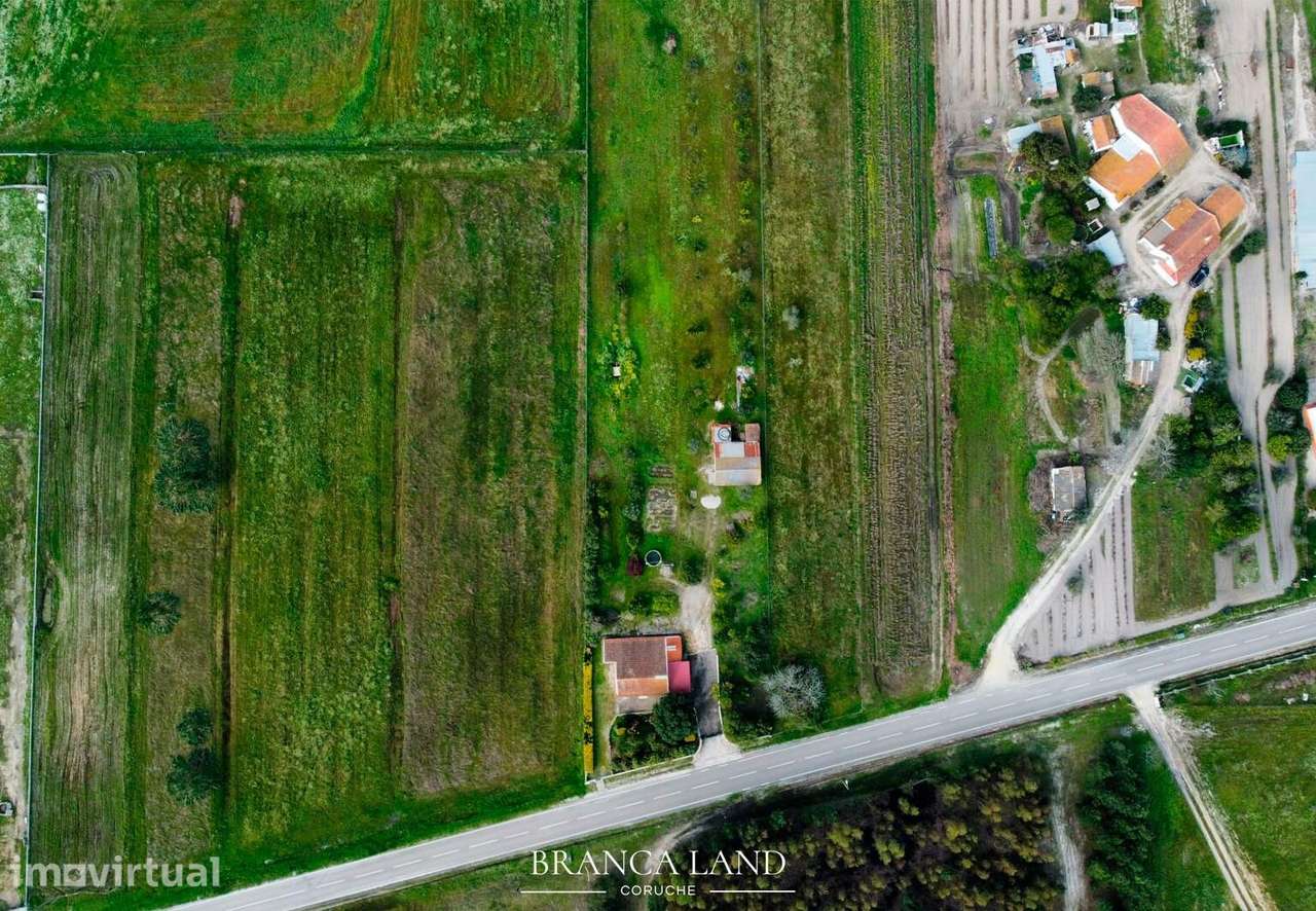 Terreno com 3.850 m2, situado na Branca, concelho de Coruche. - Grande imagem: 5/13