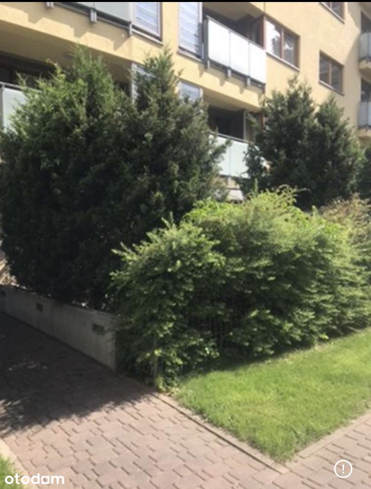 Kawalerka z ogródkiem Mokotów Chodkiewicza ( blisko SGH)