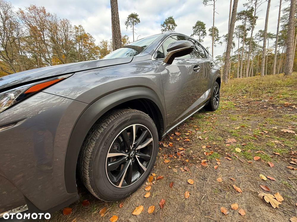 Lexus NX - 17