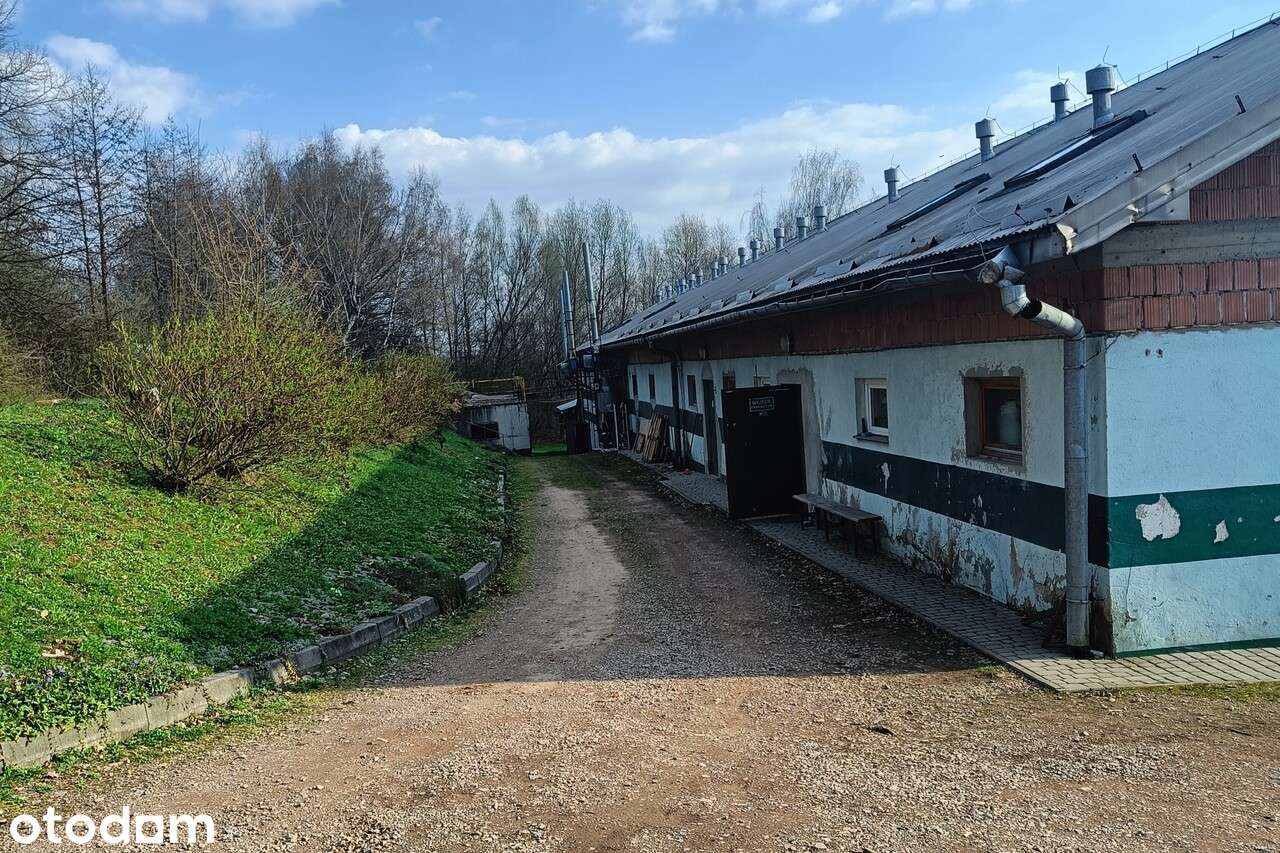 Nieruchomość Przemysłowa - Fabryka Manekinów - Pełny obrazek: 2/20