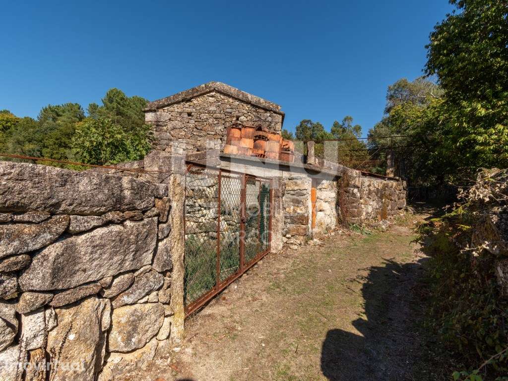 TERRENO AGRÍCOLA COM CASA DE PEDRA DE DOIS PISOS - Grande imagem: 3/24