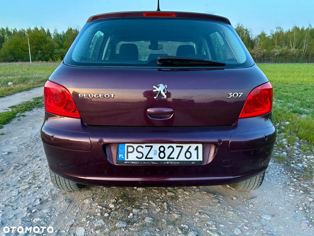 Peugeot 307 2.0 XT - 13