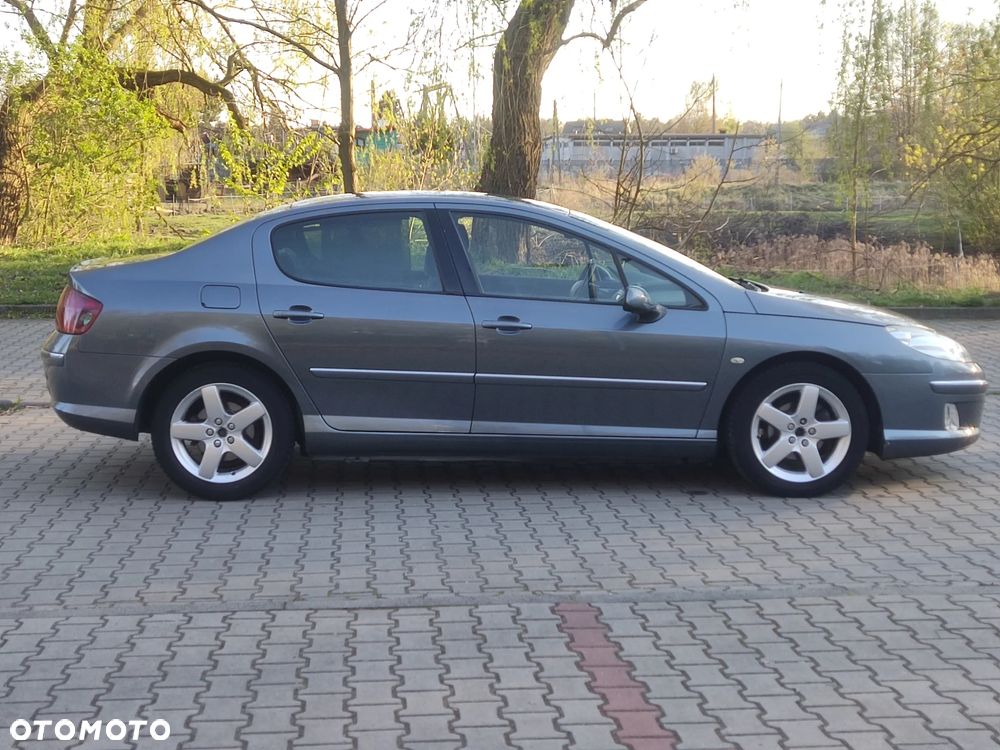 Peugeot 407 - 8
