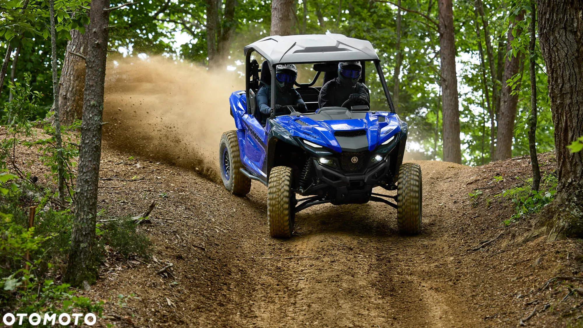Yamaha Wolverine - 3
