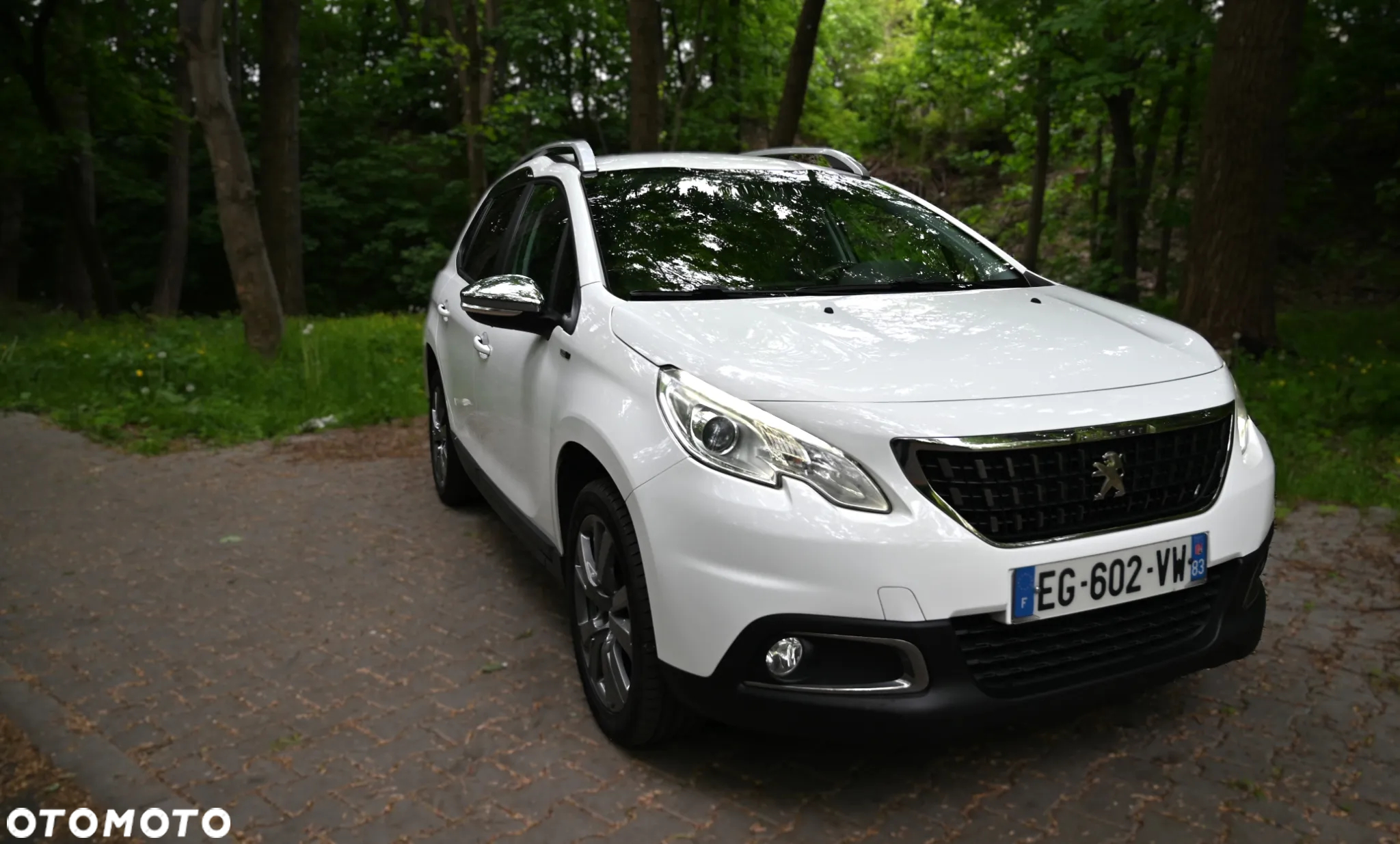 Peugeot 2008 1.6 BlueHDi Active - 8