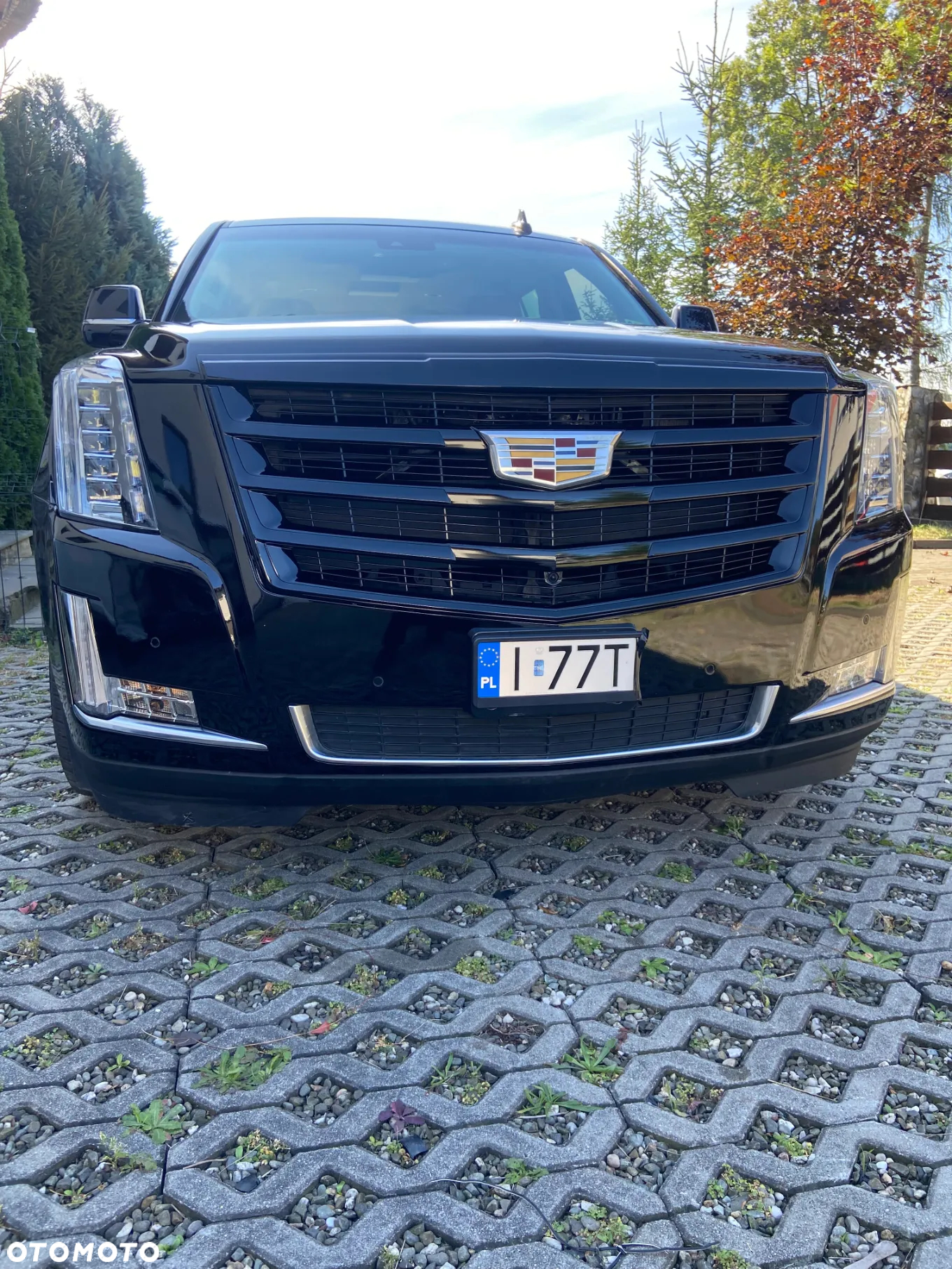 Cadillac Escalade 6.2 V8 Platinum - 2