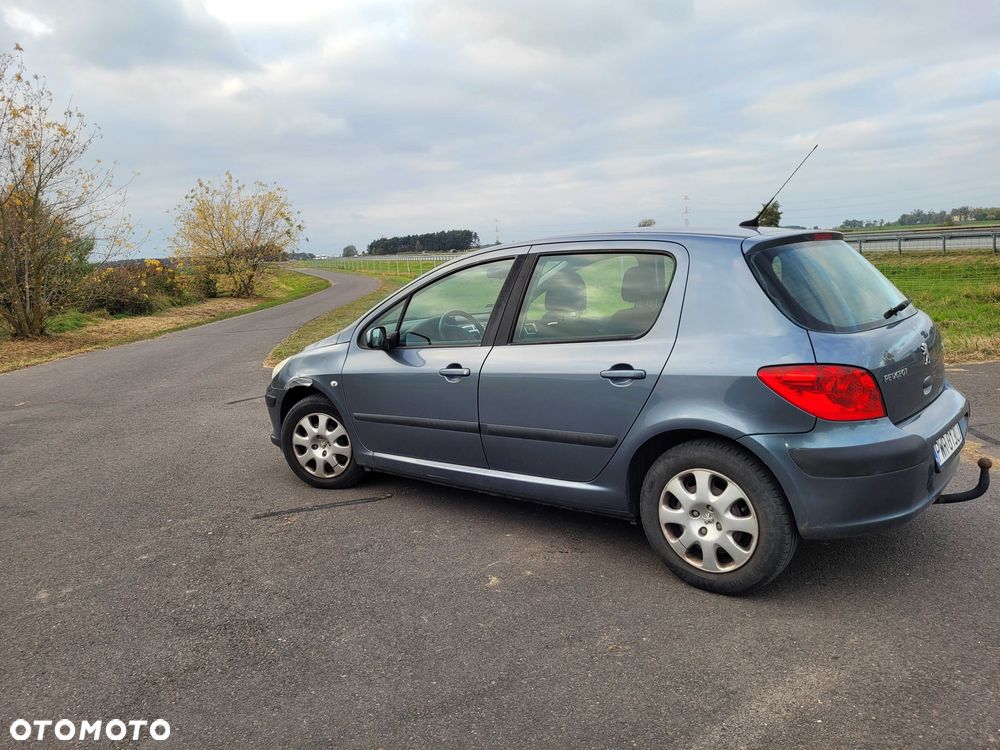 Peugeot 307 - 6