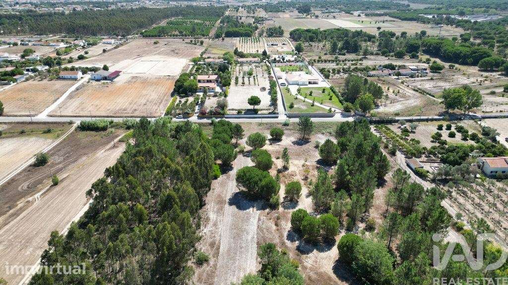 Terreno para construção em Benavente de 16390,00 m2 - Grande imagem: 5/25