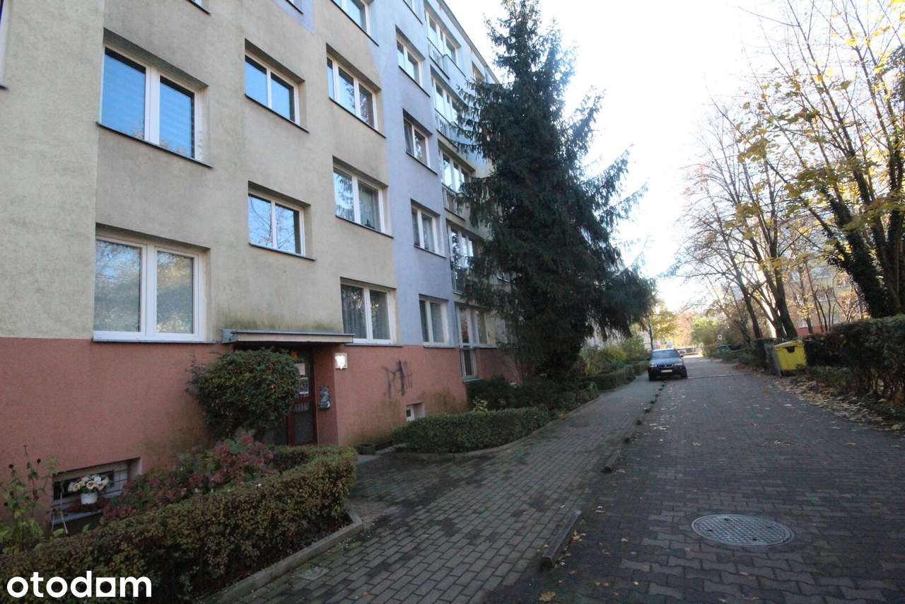 okolice ul. Radosnej
