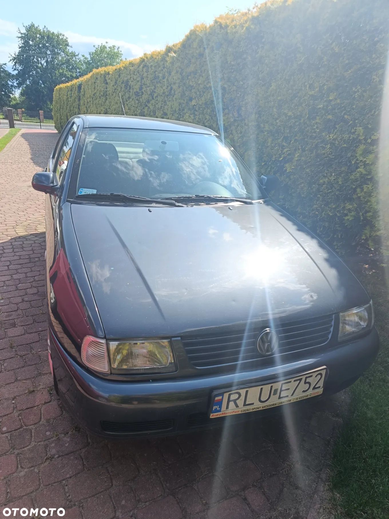 Volkswagen Polo Classic 1.4 - 1