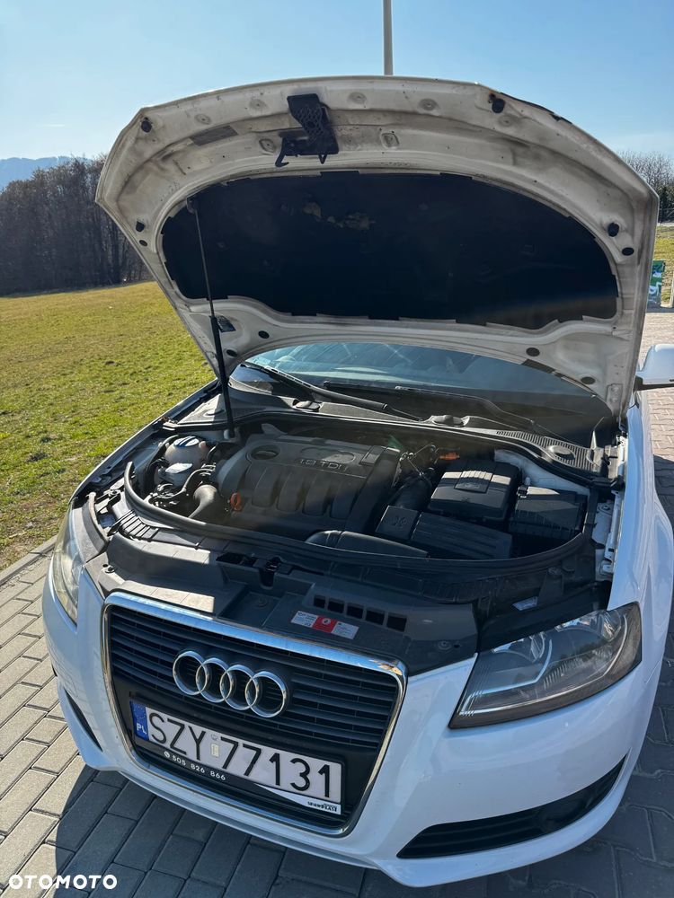 Audi A3 3-drzwiowe 1.9 TDI DPF S line Sportpaket (plus) - 19