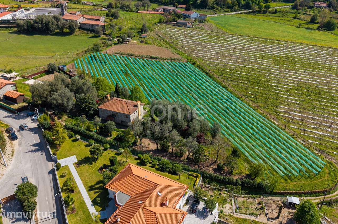 Quinta Casa do Senhor_Refúgio de Charme C/11.180 m² no coração Minh... - Grande imagem: 2/49