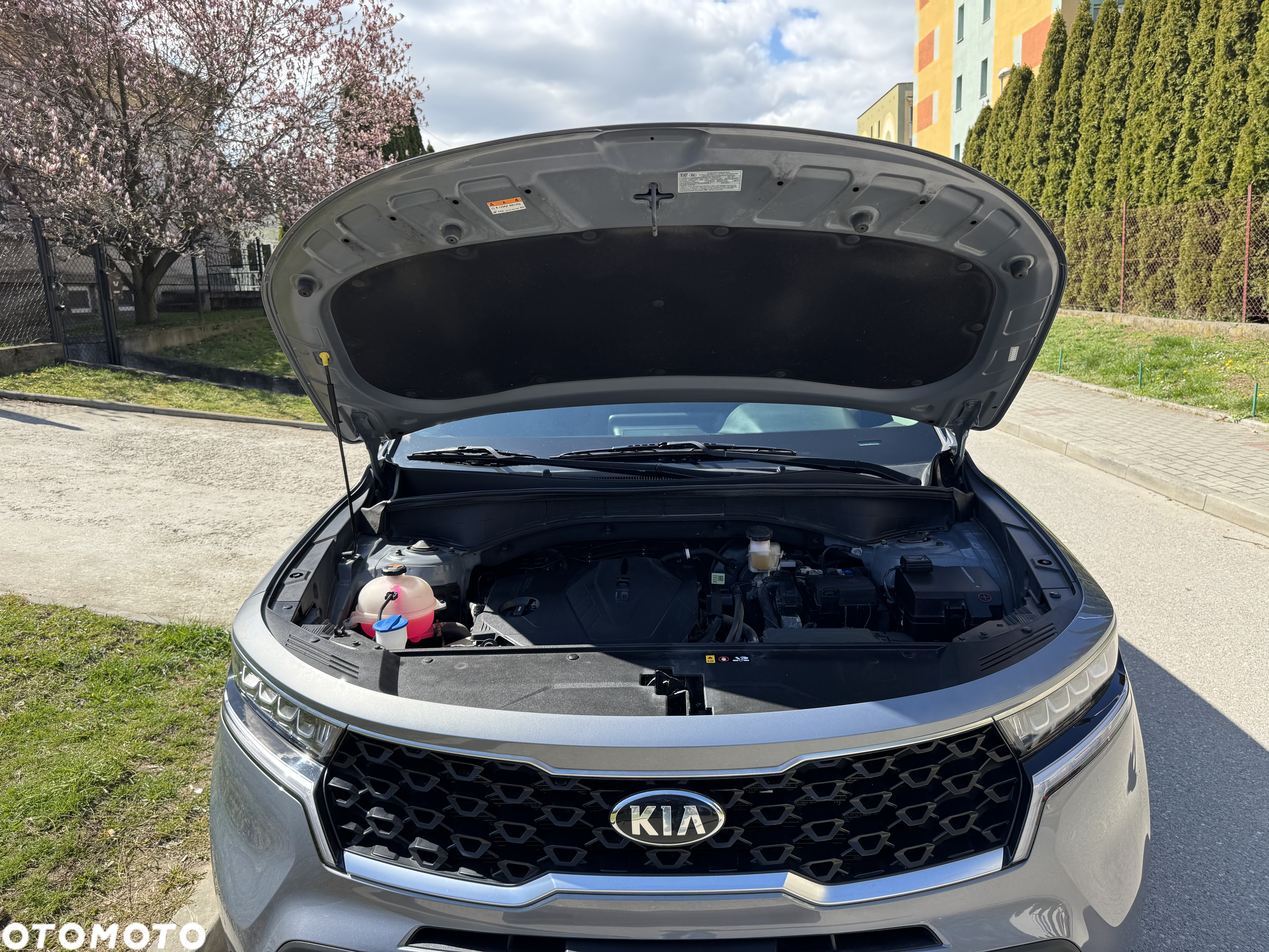 Kia Sorento - 6