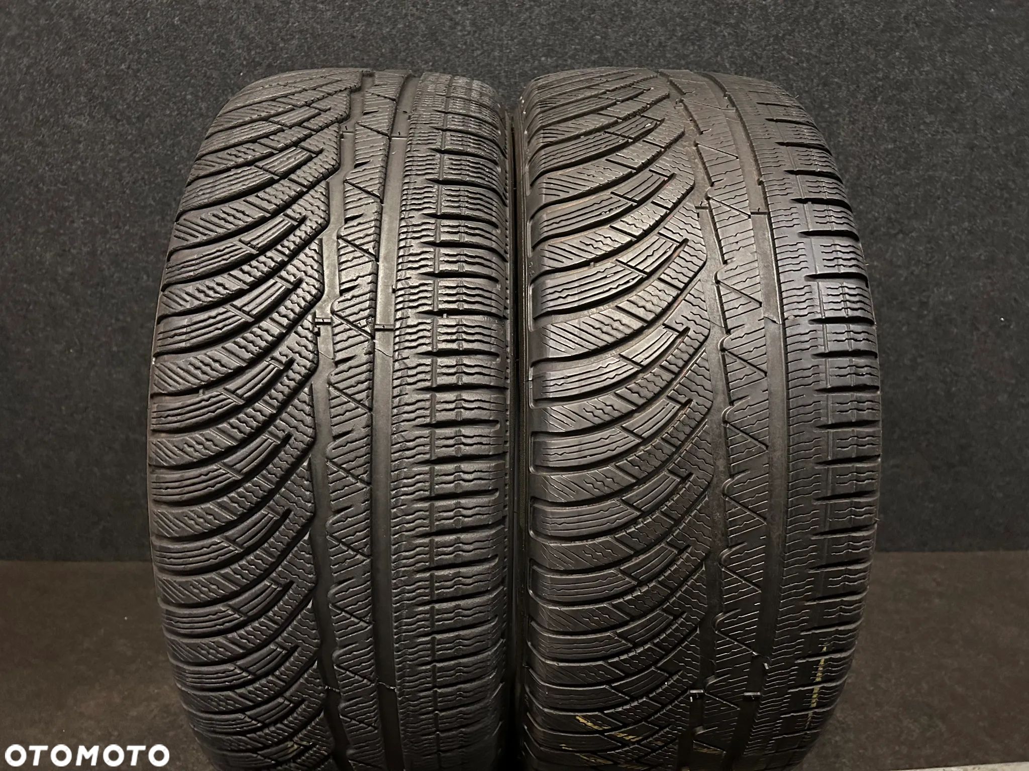 Opony zimowe Michelin Pilot Alpin PA4 245/45/18 100V XL 2szt. - 1