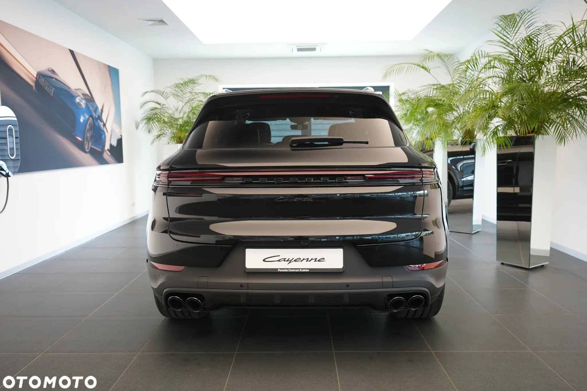 Porsche Cayenne Standard - 5