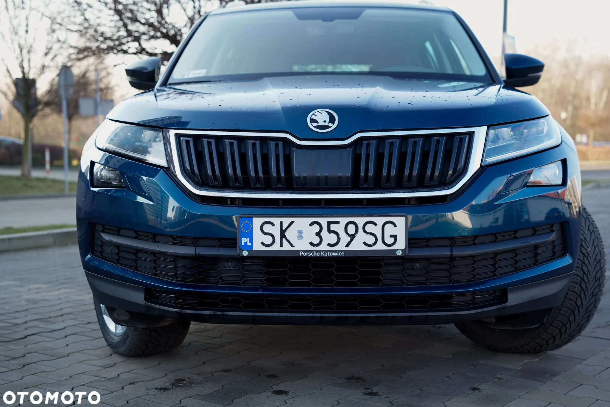 Skoda Kodiaq 2.0 TDI 4x4 Business DSG - 19