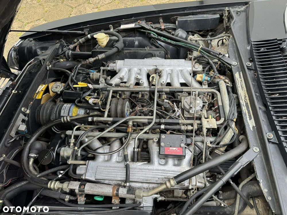 Jaguar XJS - 25