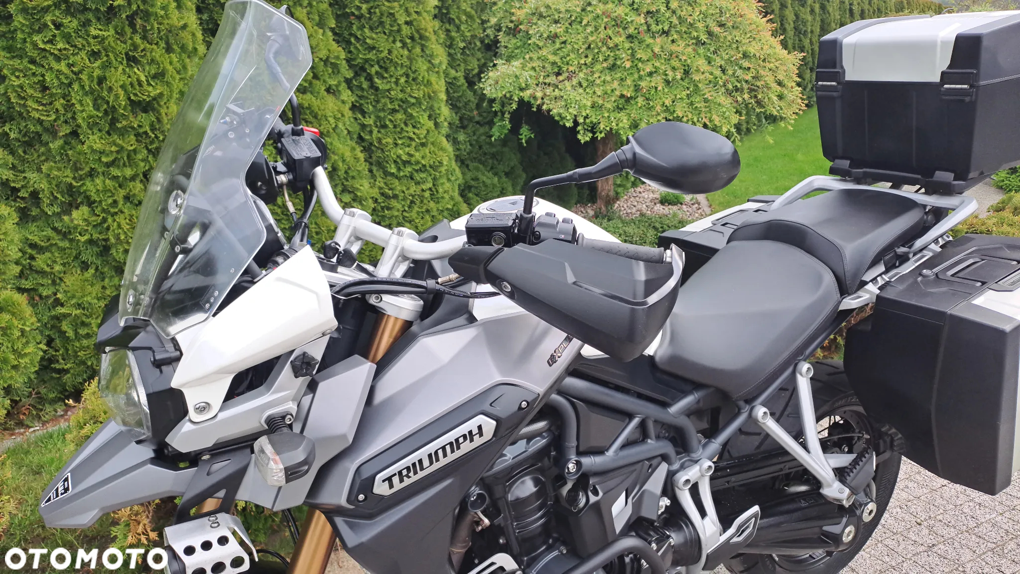 Triumph Tiger - 26