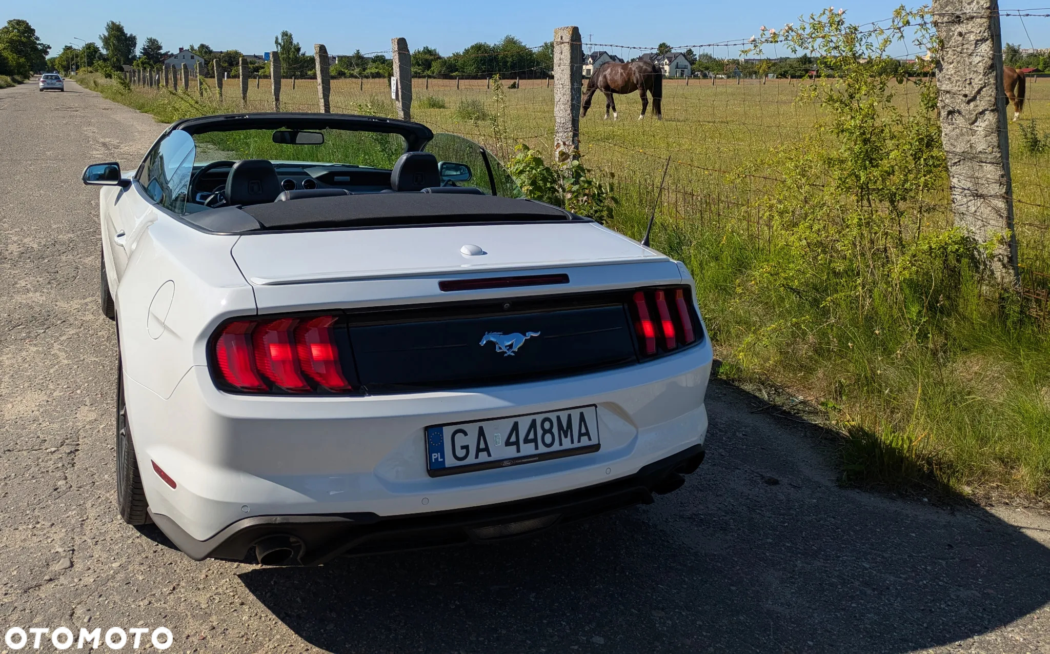 Ford Mustang 2.3 EcoBoost - 5