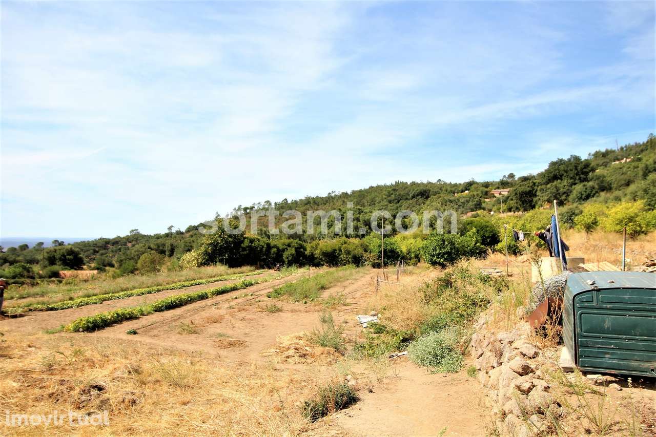 Moradia Isolada T0+2 Venda em Monchique,Monchique - Grande imagem: 5/15