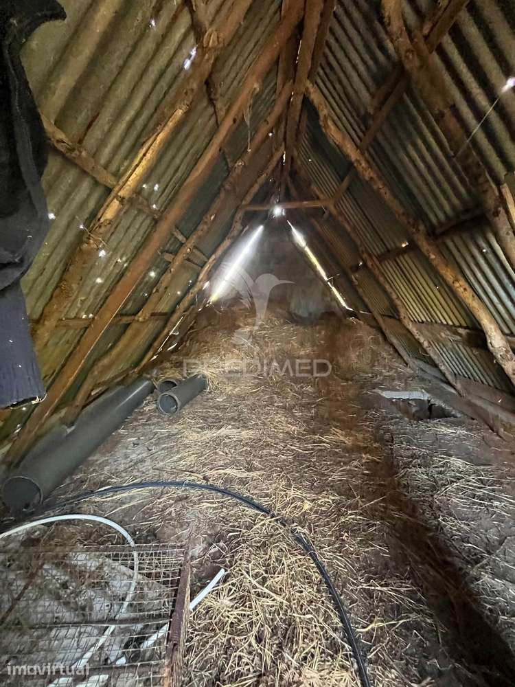 PALHEIRO COM TERRENO 400M2 NA SANTA DO PORTO MONIZ - Grande imagem: 4/6