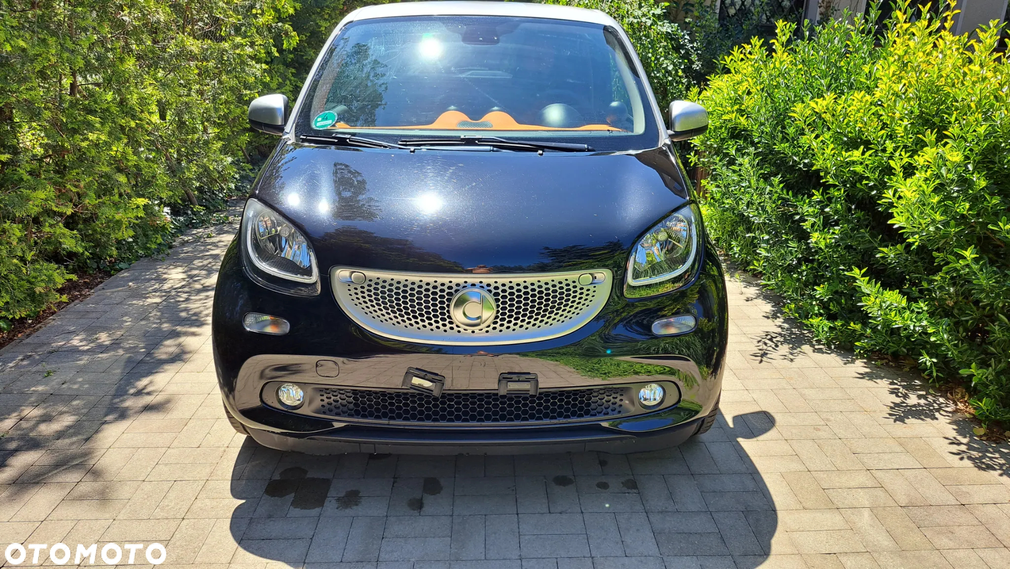 Smart Forfour passion - 3
