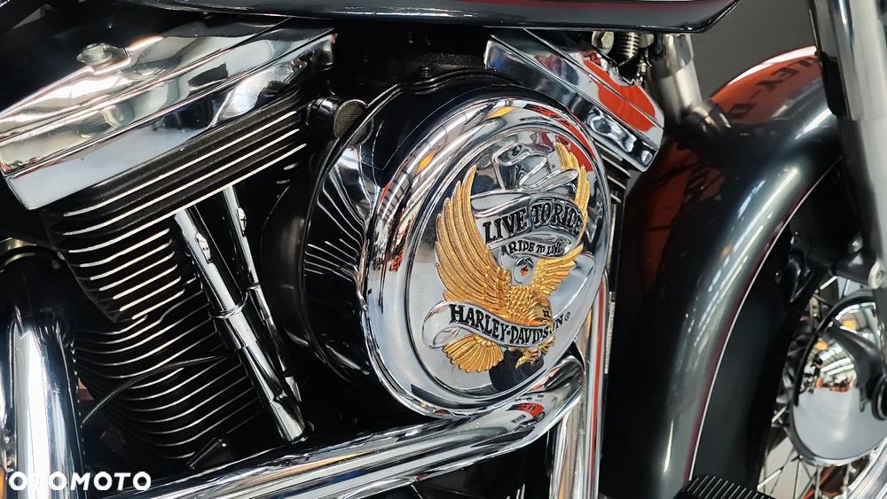 Harley-Davidson Softail Deluxe - 20