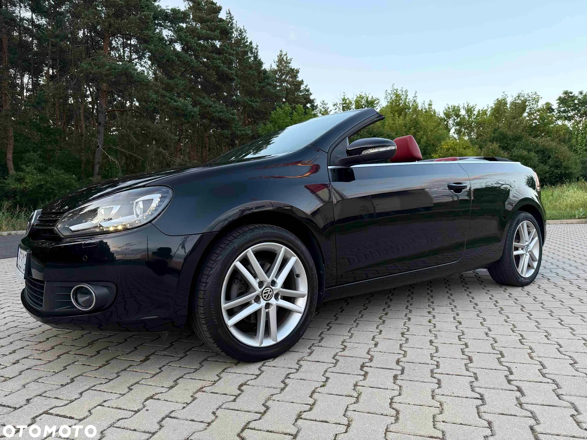 Volkswagen Golf - 28