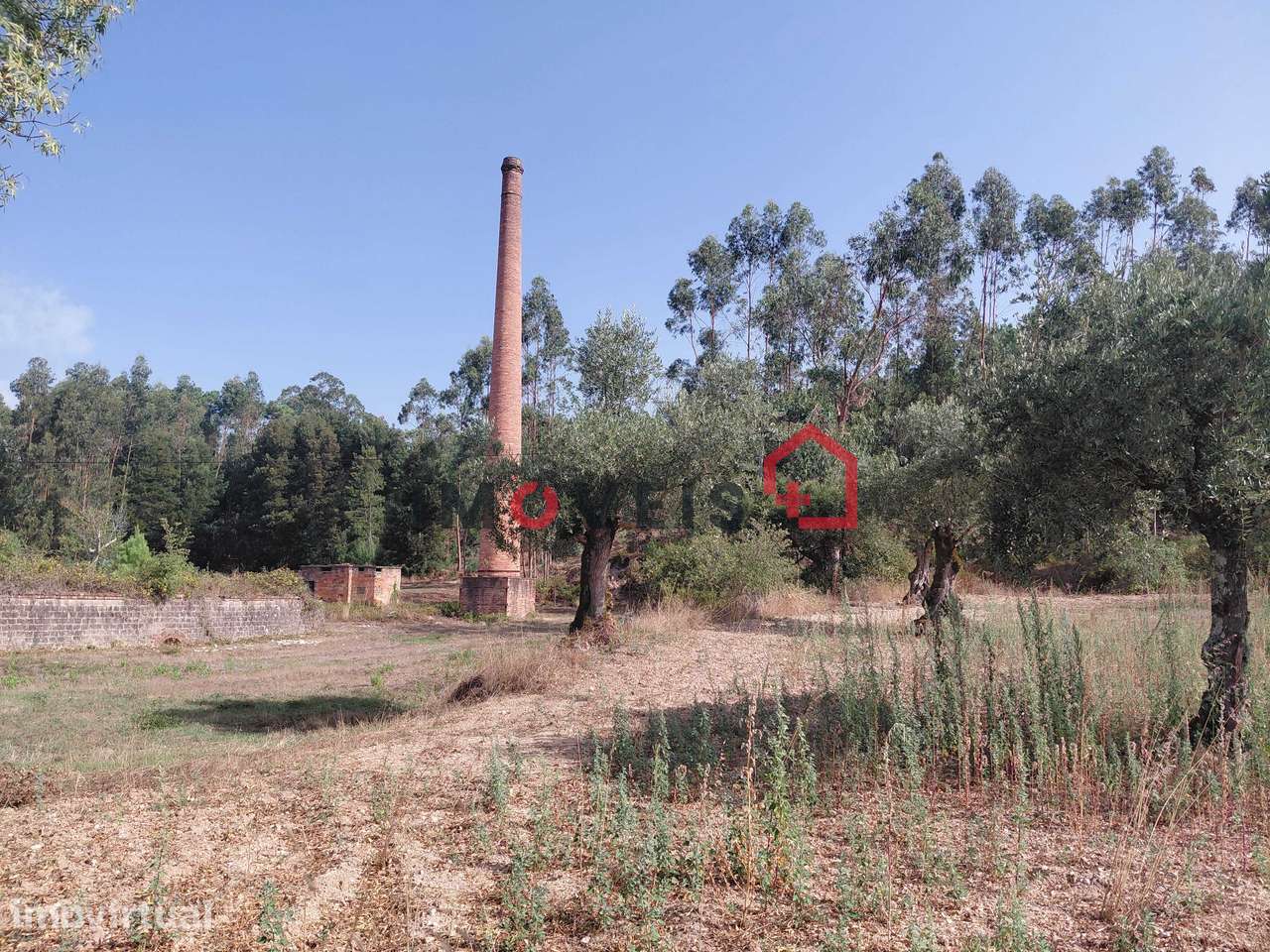 TERRENO PARA CONSTRUÇÃO COM DOIS ARTIGOS MATRICIAIS! - Grande imagem: 5/8
