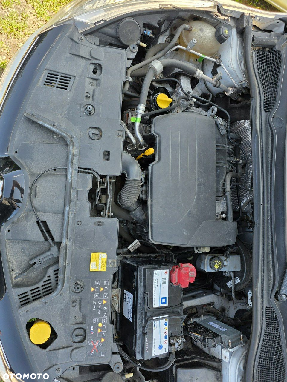 Renault Clio - 6