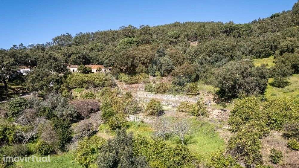 Quinta em Marmelete com grande potencial - Grande imagem: 5/24