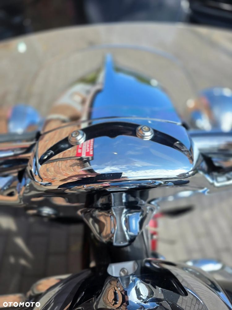 Indian Springfield - 21