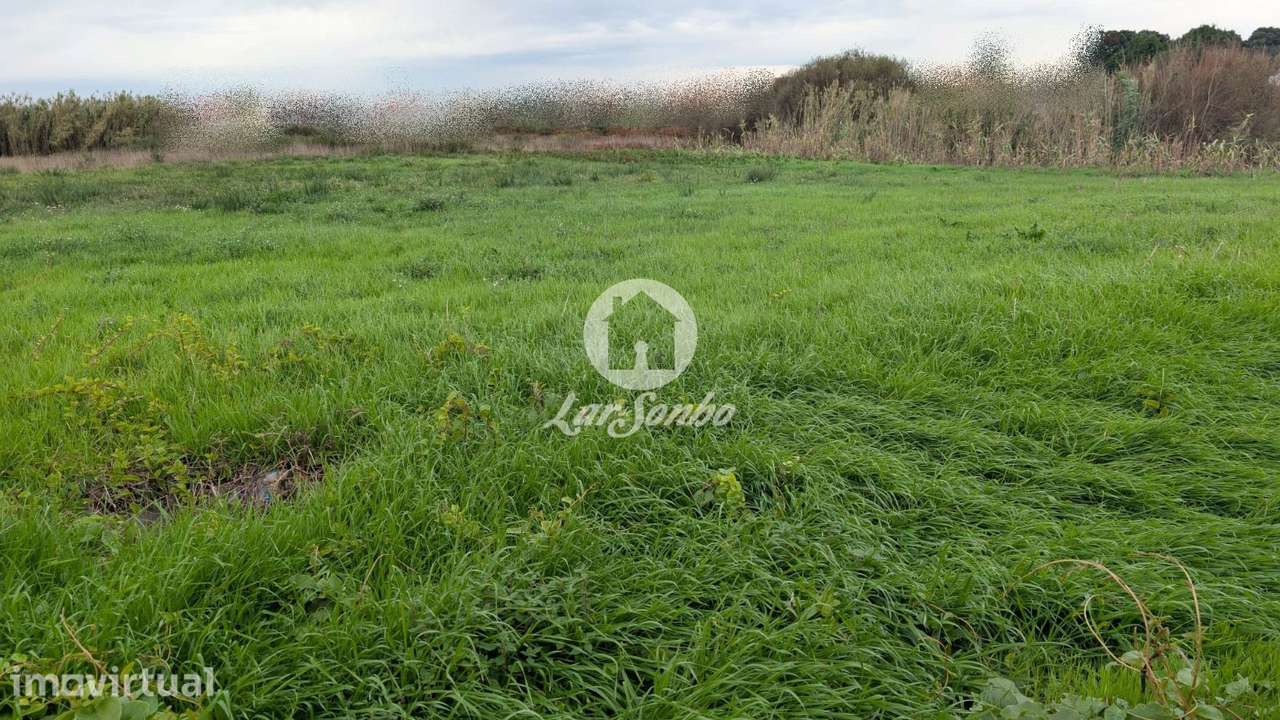Terreno para moradias com 6.700m2 em Vilar, Vila do Conde - Grande imagem: 2/10