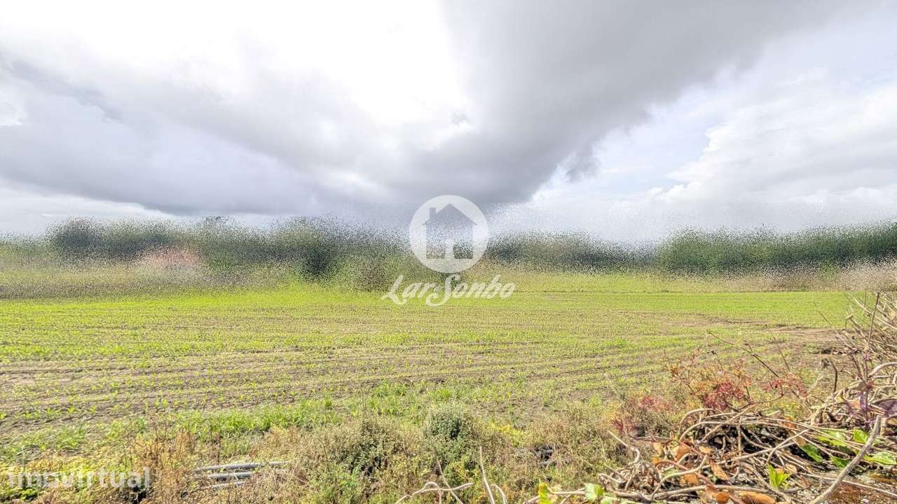 Terreno à Venda na Junqueira - Grande imagem: 3/18