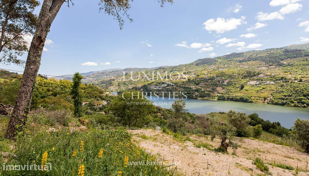 Quinta da Coelheira para venda em Baião, Douro Valley - Grande imagem: 2/25