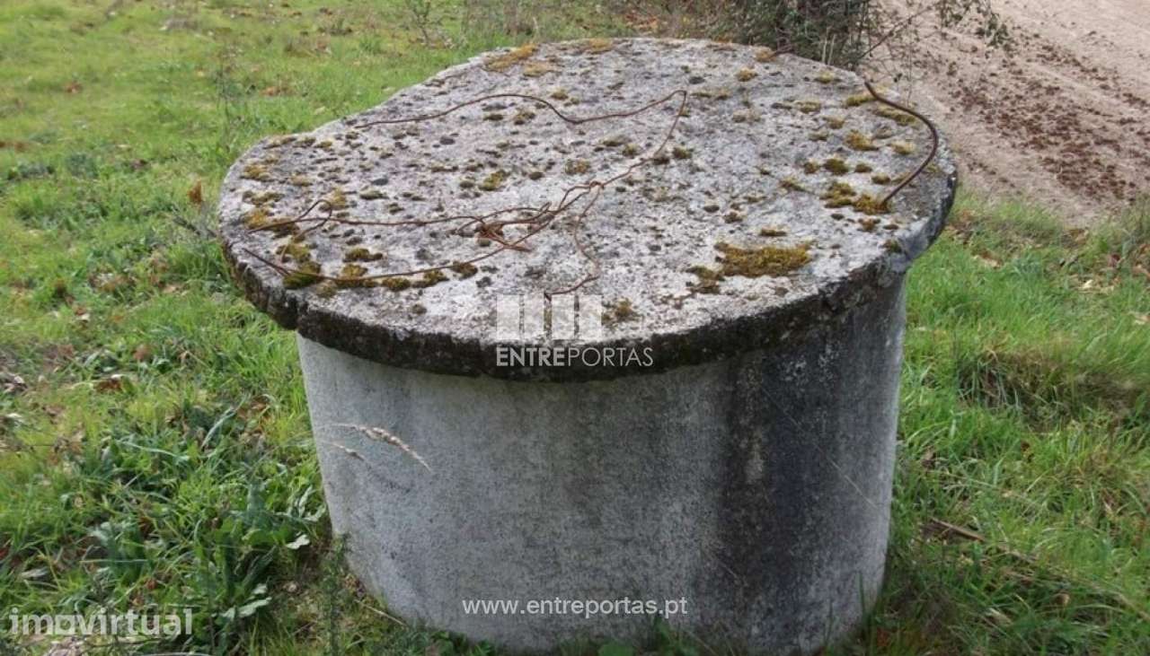 Venda Terreno, Folhada, Marco de Canaveses - Grande imagem: 4/8