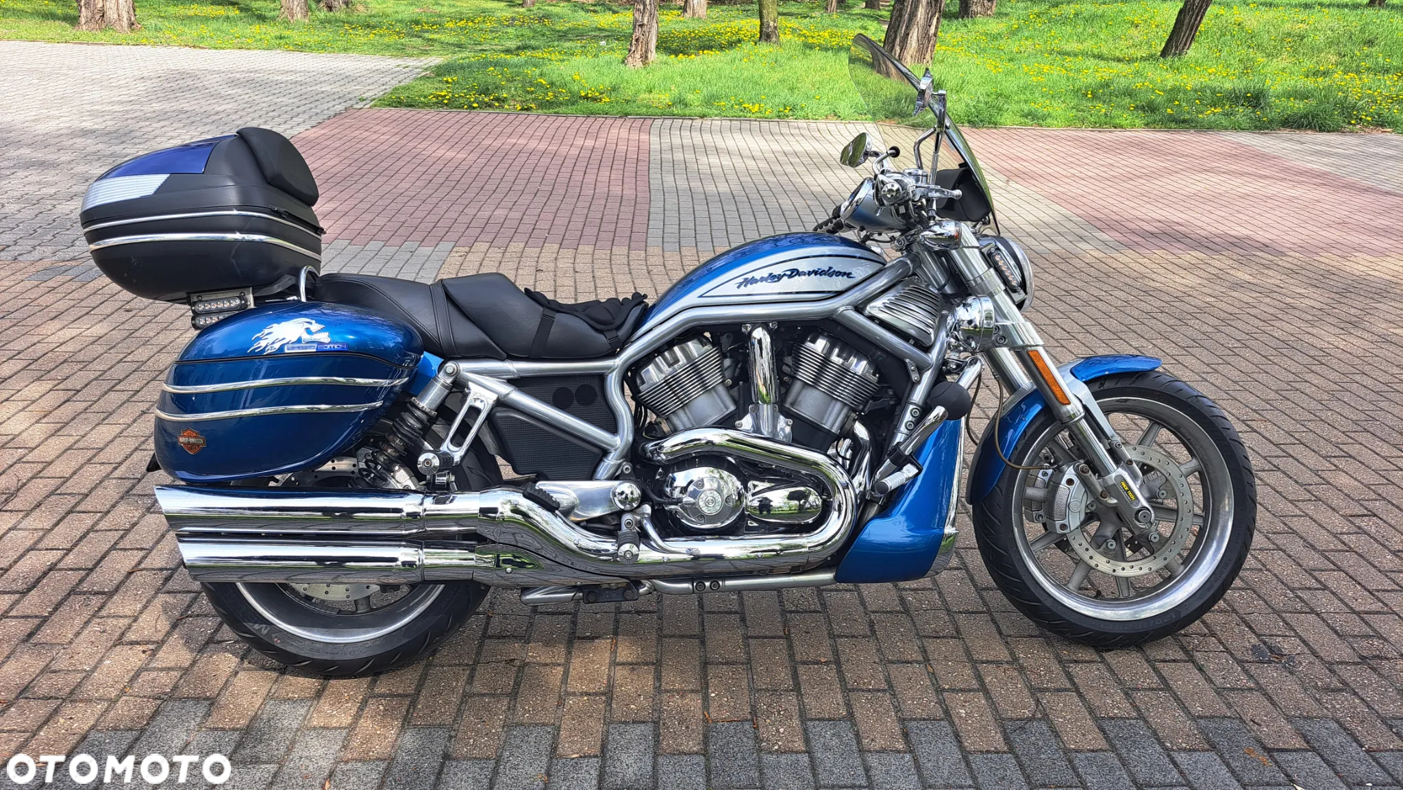 Harley-Davidson V-Rod Street Rod - 2