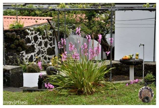 Quinta no lugar dos terreiros legalizada em A.L. - Grande imagem: 4/14